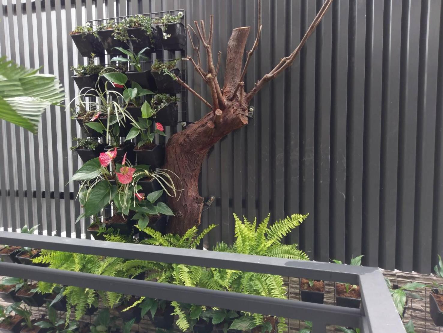 Yuan Places Taitung Luaran gambar